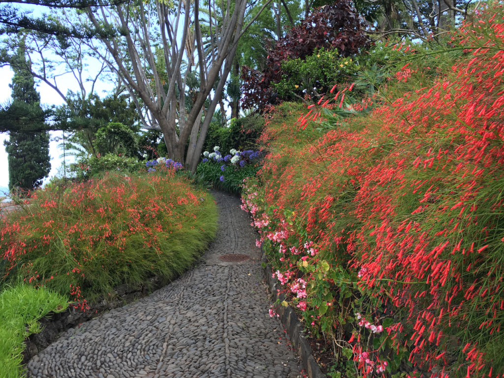 Reid's Palace Garden Pathway